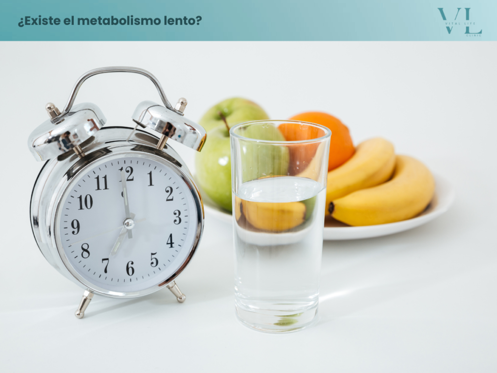Concepto de metabolismo basal y procesos energéticos del organismo para mantener funciones vitales.