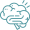 brain